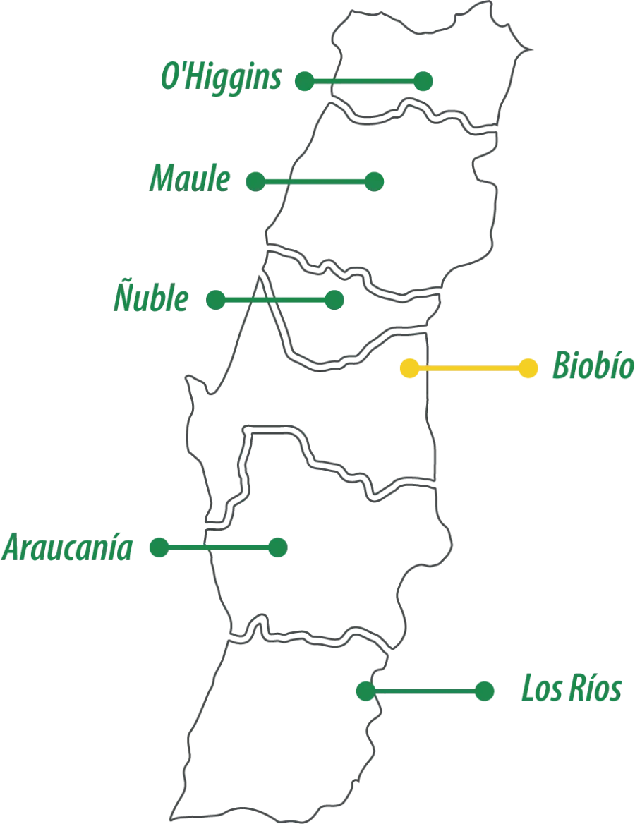 Mapa de Chile destacando las regiones de cobertura Chome